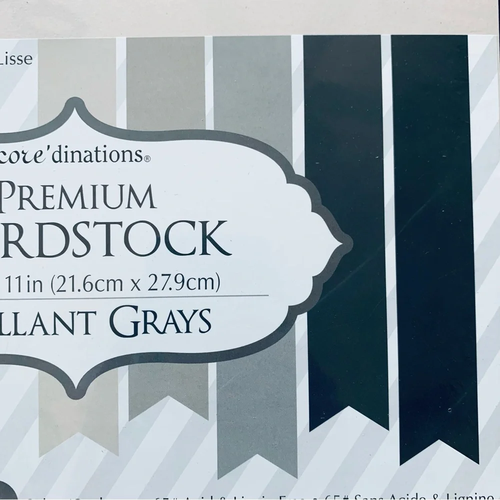 Darice Gallant Grays Core'dinations Value Pack Cardstock Craft Paper 8.5